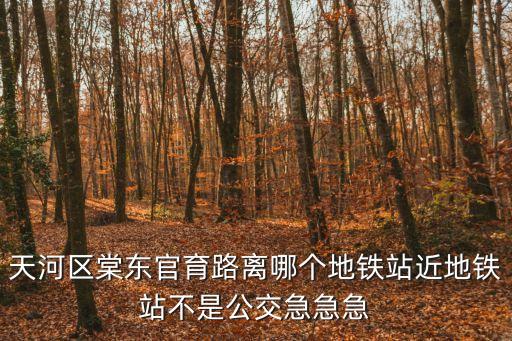 天河區棠東官育路離哪個地鐵站近地鐵站不是公交急急急