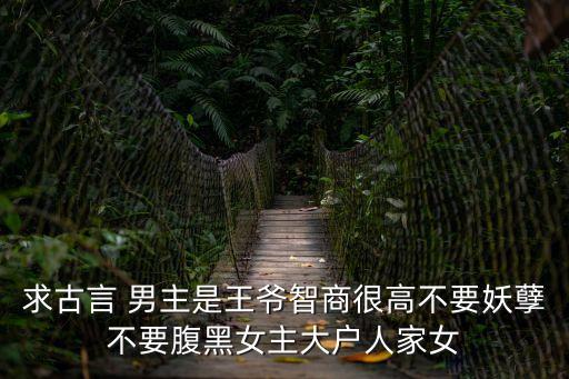 求古言 男主是王爺智商很高不要妖孽不要腹黑女主大戶人家女