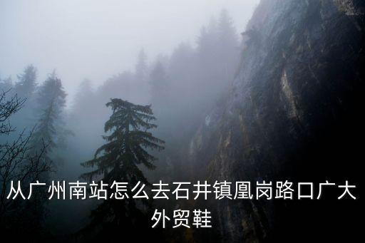 廣州南站到凰崗怎么坐地鐵，廣州南站坐幾號地鐵到瀟崗