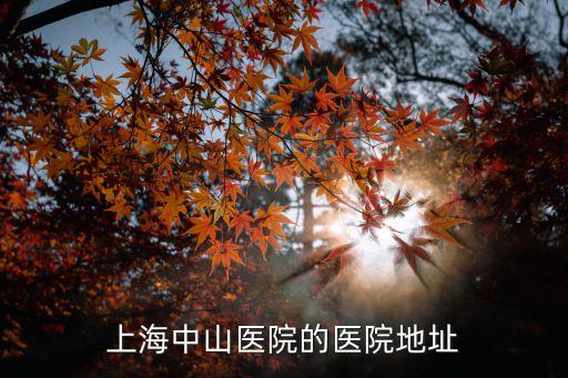 上海市中山醫(yī)院在什么區(qū)，上海中山醫(yī)院具體是哪個區(qū)