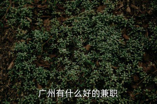 廣州口碑最好的兼職，知唔知廣州有咩好嘅兼職