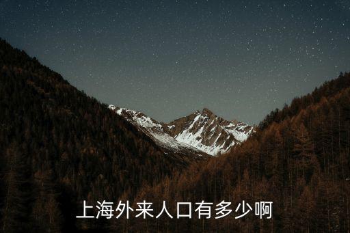 上海外來人口有多少啊