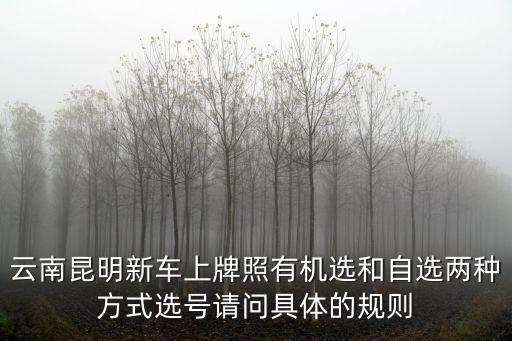 汽車上牌流程，新車上牌流程