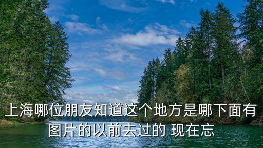 上海哪位朋友知道這個地方是哪下面有圖片的以前去過的 現在忘