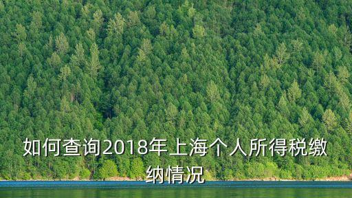 上海市2018年上繳稅收，2018年上海個稅繳納情況查詢怎么查