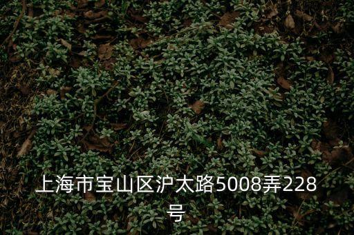 上海市寶山區(qū)滬太路5008弄228號