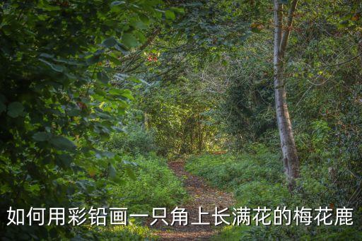 畫鹿，如何用彩鉛畫一只角上長滿花的梅花鹿