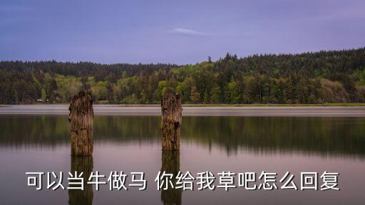 草吧，你準(zhǔn)備艾草吧是什么網(wǎng)絡(luò)語言