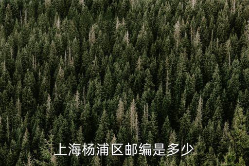 上海楊浦區(qū)郵編是多少