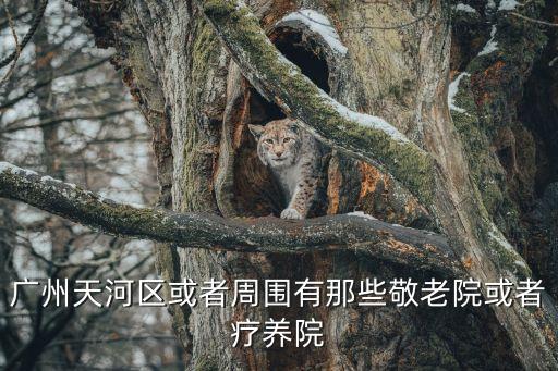 廣州石井潭村星光敬老院，廣州天河區或者周圍有那些敬老院或者療養院