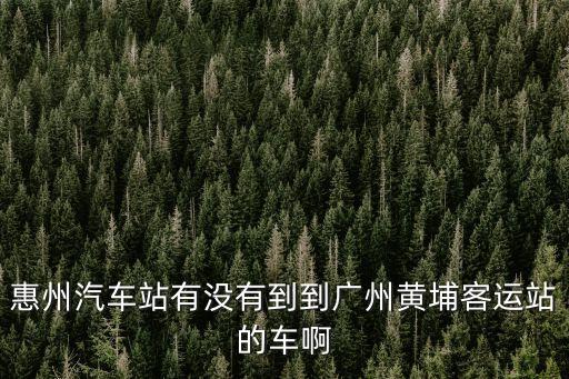 惠州汽車站有沒有到到廣州黃埔客運站的車啊