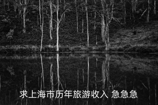 上海市民旅游情況，2013年上海市旅游業發展有哪些特點