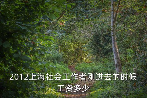上海市工會社工薪酬等級，上海助理社工師月薪多少怎么受訓怎么招聘