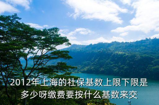 2012年上海的社保基數上限下限是多少呀繳費要按什么基數來交