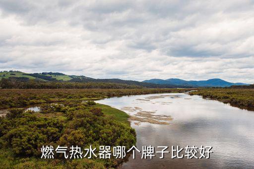燃氣熱水器排行，燃氣熱水器哪個牌子好