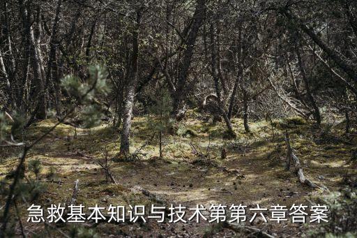 上海市急救知識競賽答案2019，據統計上海了解急救知識的人數的比例為多少