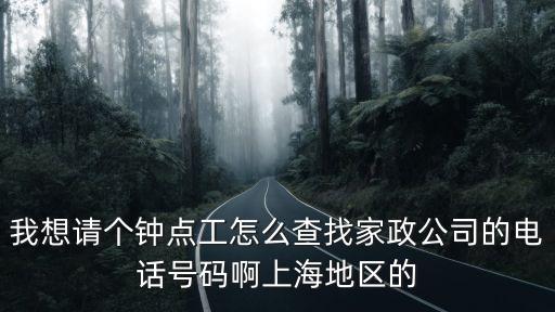 我想請(qǐng)個(gè)鐘點(diǎn)工怎么查找家政公司的電話號(hào)碼啊上海地區(qū)的