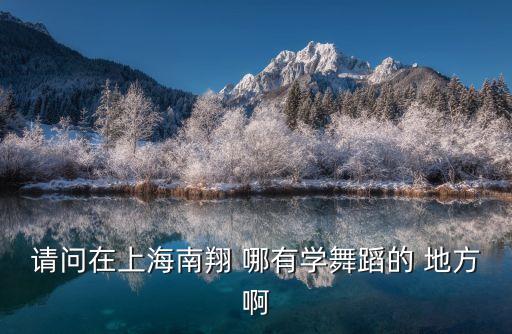 上海市銀齡圓夢(mèng)藝術(shù)團(tuán)，請(qǐng)問(wèn)在上海南翔 哪有學(xué)舞蹈的 地方啊