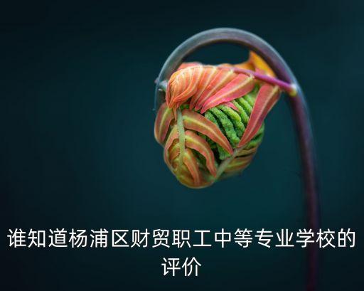 誰知道楊浦區財貿職工中等專業學校的評價