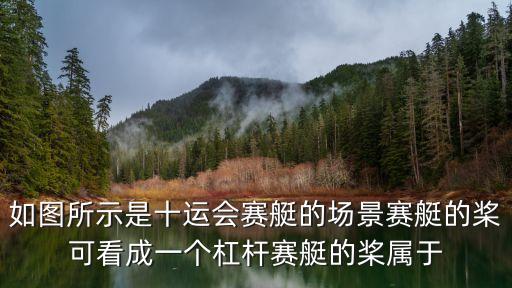 上海市運會賽艇，如圖所示是十運會賽艇的場景賽艇的槳可看成一個杠桿賽艇的槳屬于