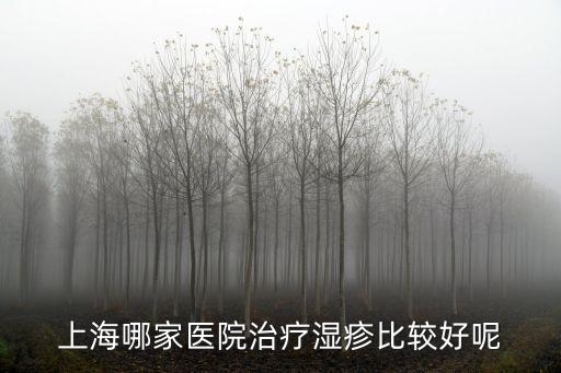 上海哪家醫院治療濕疹比較好呢