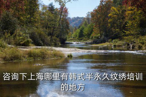上海市 紋繡培訓，上海黃鑫紋繡學校地址電話