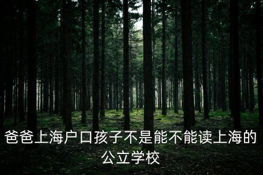 上海市公共戶口 子女入學(xué)，上海市戶口 子女入學(xué)
