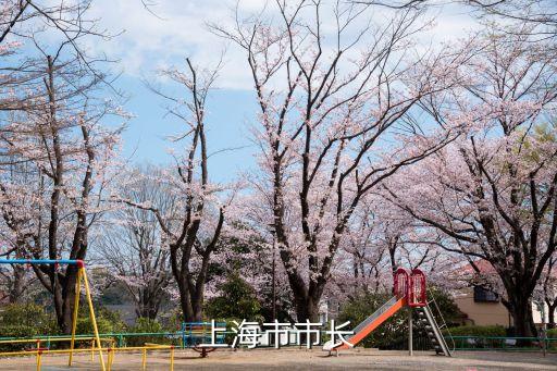原上海市委書記王一平簡歷，上海第一任市長到現在分別是誰