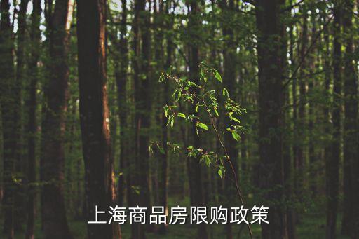 上海市買房的限購政策，上海商品房限購政策