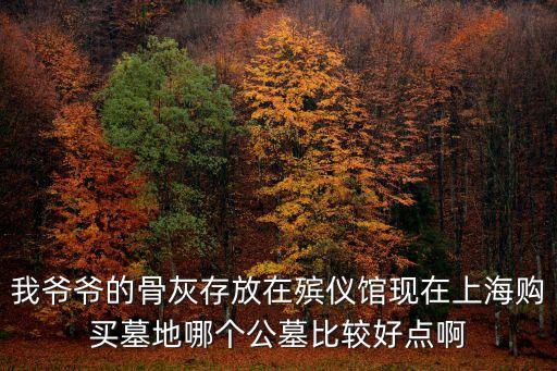 上海市五大公墓，上海有哪些墓地