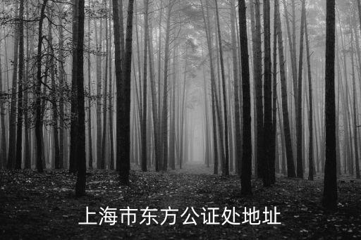 上海市東方公證處地址