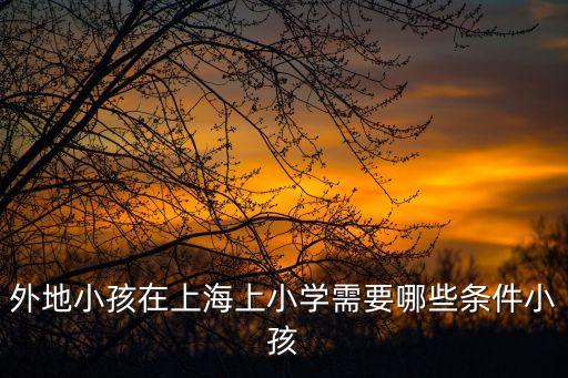 上海市小學(xué) 去學(xué)條件，外地小孩在上海上小學(xué)需要哪些條件小孩