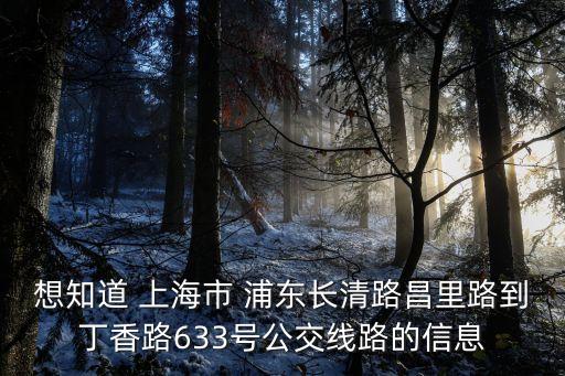 上海市丁香路633號，想知道 上海市 浦東長清路昌里路到丁香路633號公交線路的信息