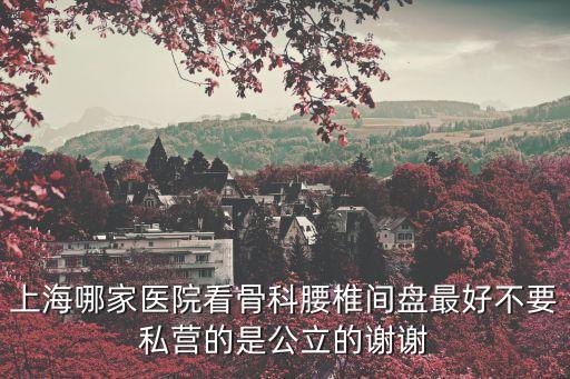 上海哪家醫(yī)院看骨科腰椎間盤最好不要私營的是公立的謝謝