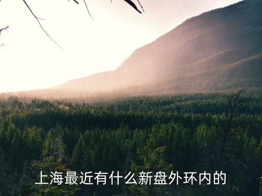 上海市新盤房源，上海最近有什么新盤外環內的