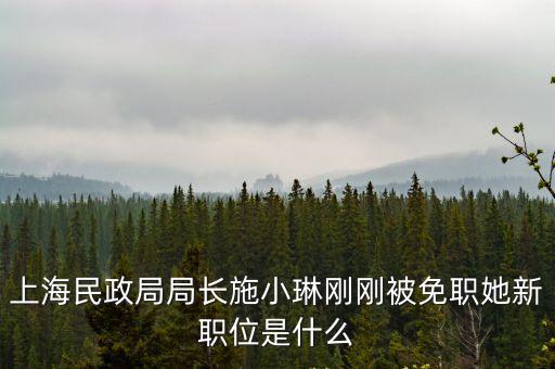前上海市民政局局長，上海民政局局長施小琳剛剛被免職她新職位是什么