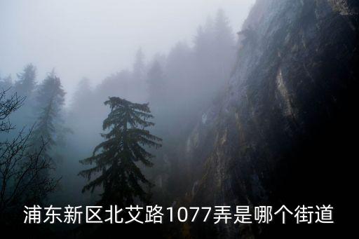 上海市膠州路1077弄居委會(huì)，上海市膠州路是哪個(gè)區(qū)的