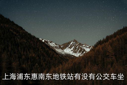 上海浦東惠南東地鐵站有沒有公交車坐