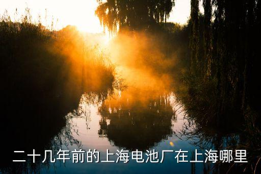 二十幾年前的上海電池廠在上海哪里