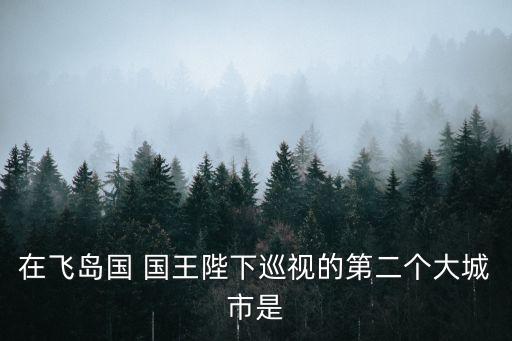 在飛島國 國王陛下巡視的第二個大城市是