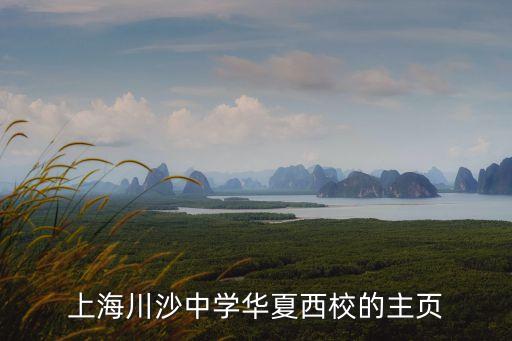 上海市川沙中學華夏西校cever，上海市川沙中學華夏西校的全明星陣容