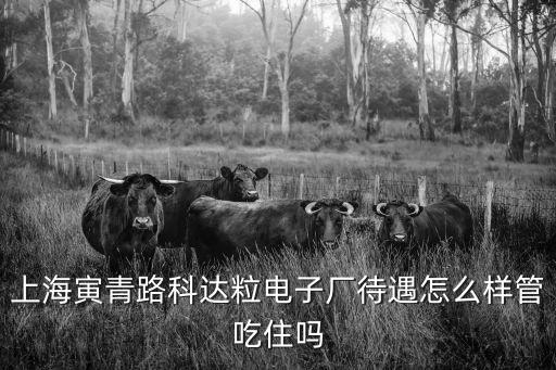 上海市閔行精密有限公司，上海閔行第一精工普工待遇怎么樣關鍵屎里面的女生多嗎
