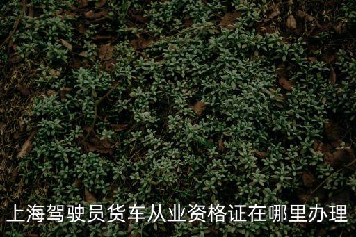 上海市嘉定區辦貨運證的地址在哪里，上海嘉定區的貨運資格證在哪里換