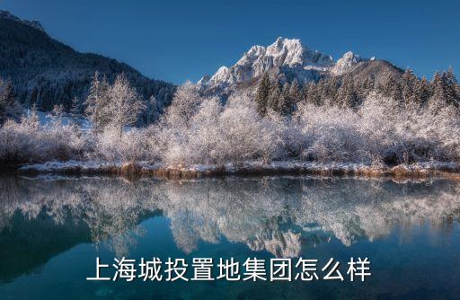 上海城投置地集團(tuán)怎么樣