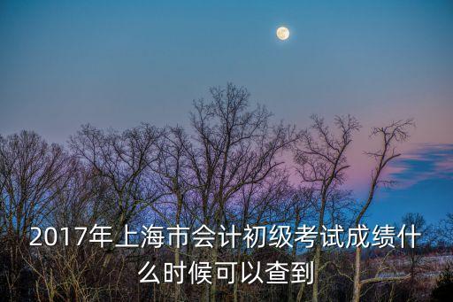 2017年上海市會計初級考試成績什么時候可以查到