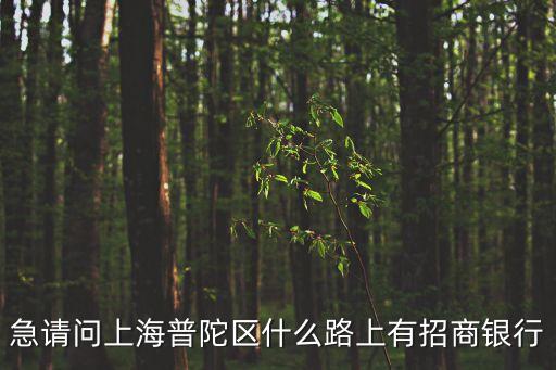 上海市普陀區(qū)附近的I銀行，普陀區(qū)光新路有幾家銀行