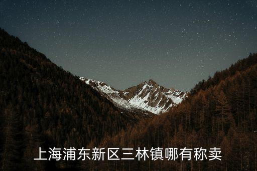 上海浦東新區(qū)三林鎮(zhèn)哪有稱賣