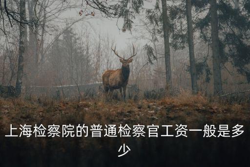 上海市檢察院公務員，上海金山區檢察院待遇