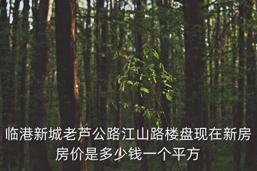 臨港新城老蘆公路江山路樓盤現(xiàn)在新房房價是多少錢一個平方