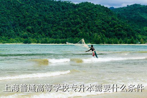 上海普通高等學校專升本需要什么條件